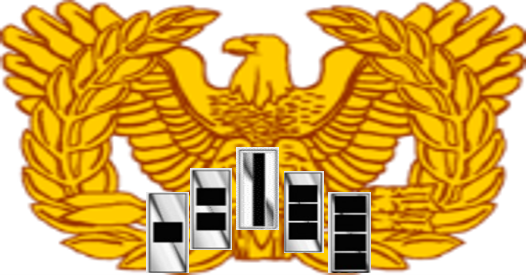 Enlisted rank: E9, Command Sergeant Major.